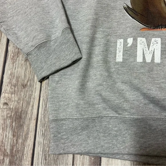 I Had My Patience Tested I'm Negative Cat Funny Gray Long Sleeve Fleece Sweater - Picture 3 of 11